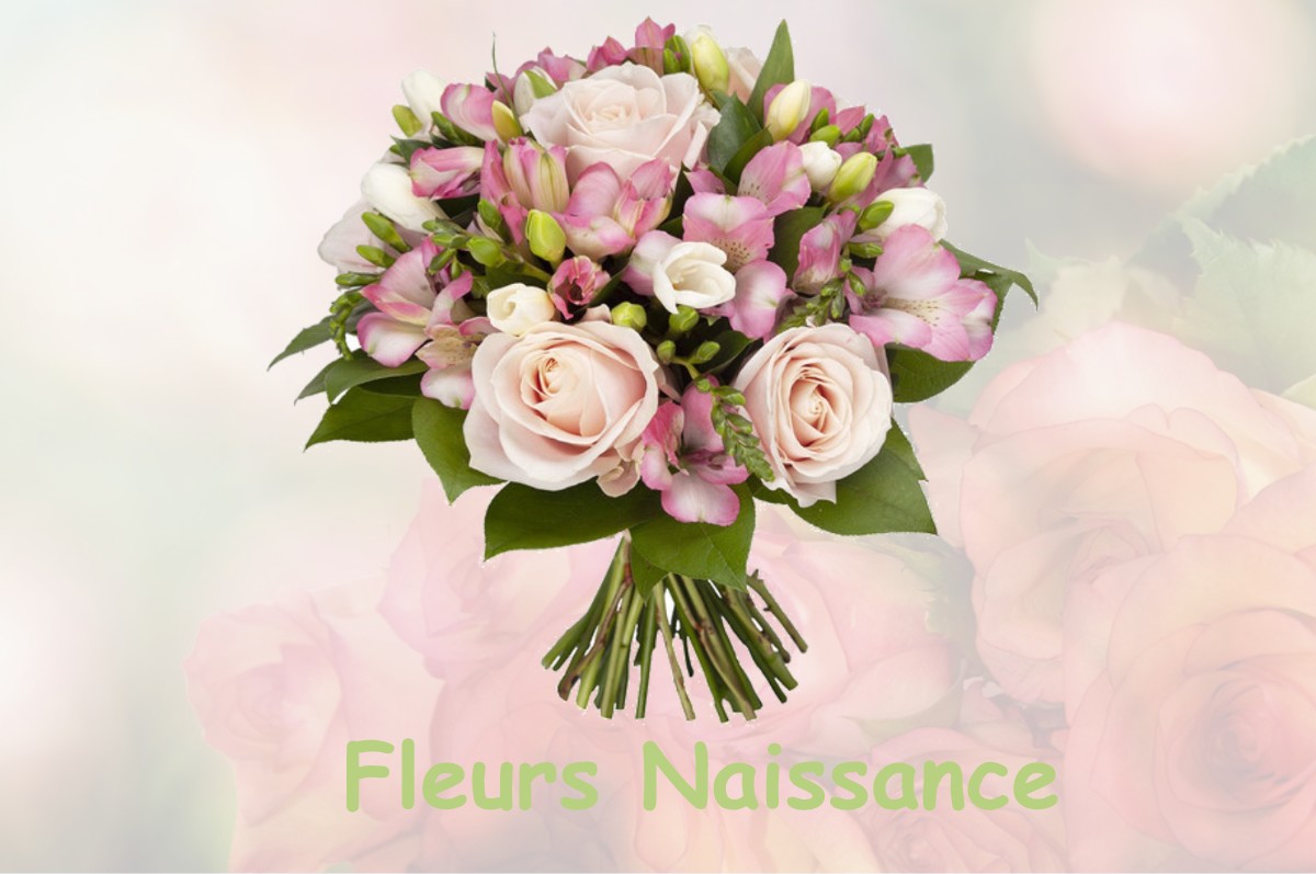 fleurs naissance FRONTENAY