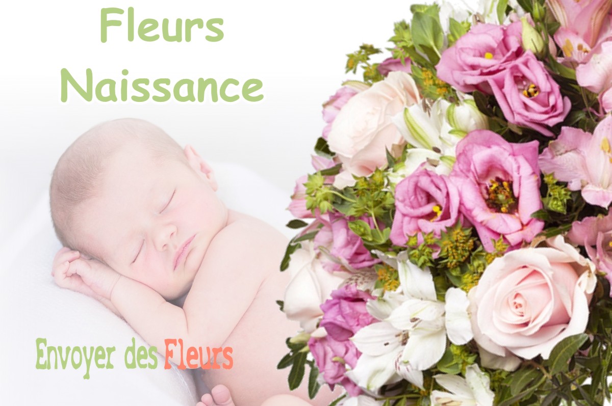 lIVRAISON FLEURS NAISSANCE à FRONTENAY